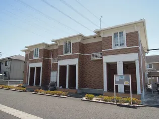 カーヤ サミーCの画像