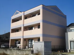 パジェール花水木の画像