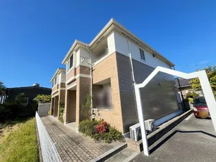 シャンピアの画像