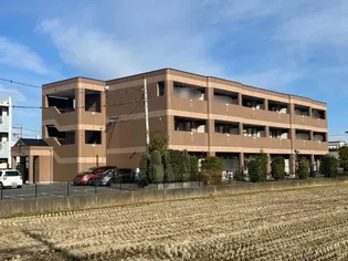 ブラウンシティーの画像