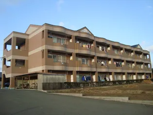 エクセレンスリブの画像