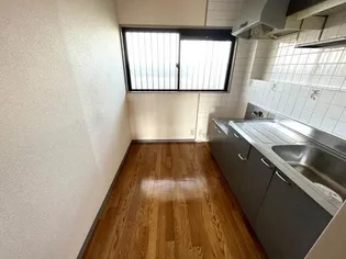 サンガーデンセレス【301号室】のキッチン