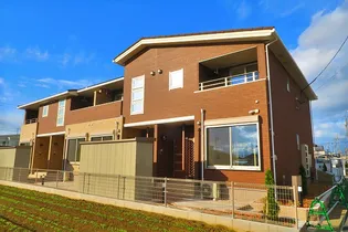 オリーブNJの画像