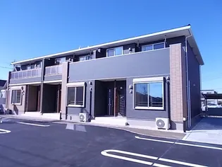 プラシードの画像