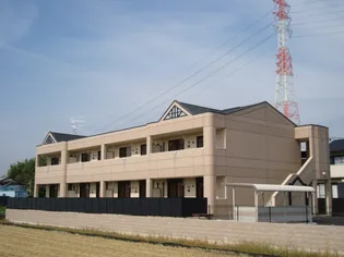 メープル メゾン【203号室】の外観