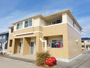 LRステディア Bの画像