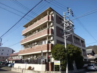 フォルビテッツァ岐阜の画像