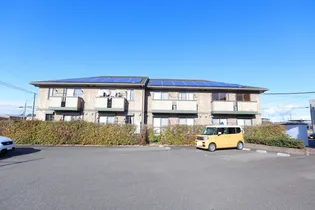 THREE WOODS Y&F Aの画像