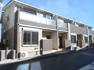 ビッグ フラップ IIの画像