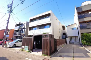 マハロの画像