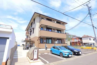 サンプラスの画像