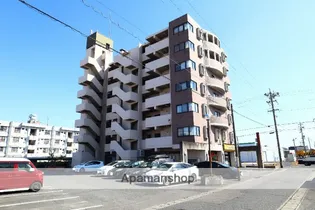 アイレックスミヤケの画像