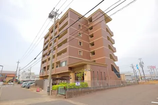 ラ ミノールIIIの画像