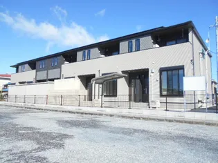 ヴィヴィットの画像