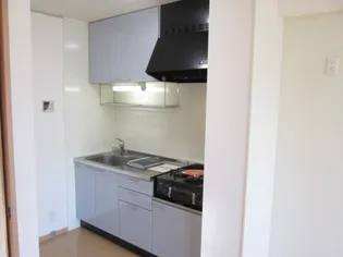 リビングタウン鵜沼 C【2階】のキッチン