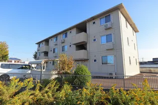 グレイス SEの画像