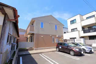 ドリームひまわりの画像