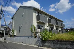 カメリアの画像