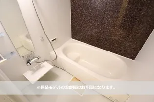 ルーチェ ソラーレ A棟【1階】の風呂