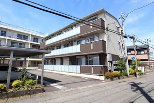 フェリークの画像