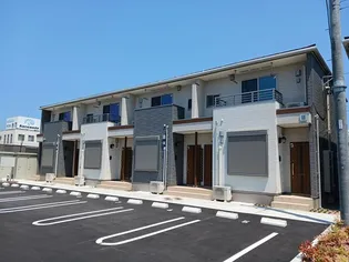 オリーブM Iの画像