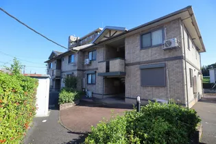 THREE WOODS Y&F Aの画像