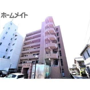 アコールヤマショウの画像