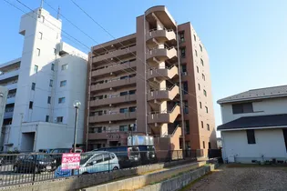 アコールヤマショウの画像