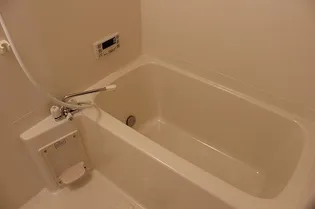 ロコハウスA【1階】の風呂