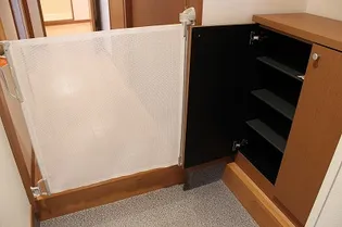 ロコハウスA【1階】の玄関