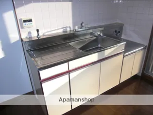 グリーンハイツ丘【305号室】のキッチン