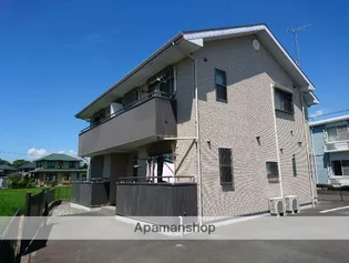 サンフィットの画像