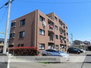 ファインステージの画像