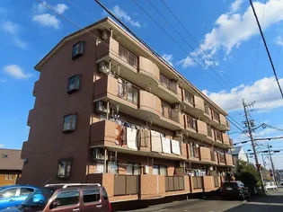 カトレアの画像