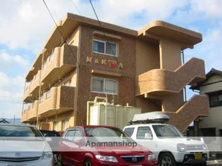 M&KアップルAの画像