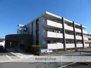 フォルトゥーナの画像