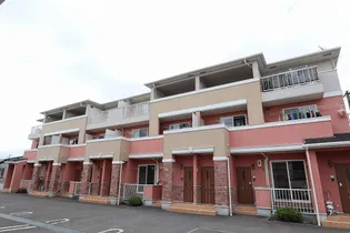 ソレイユ Tの画像