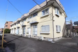 エルディム鈴木の画像