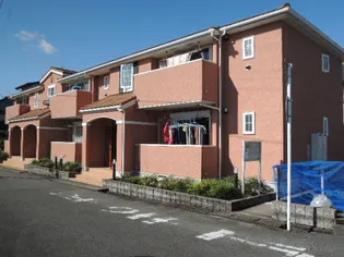 コスモフィオーレIIの画像