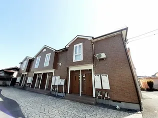 プリムローズの画像