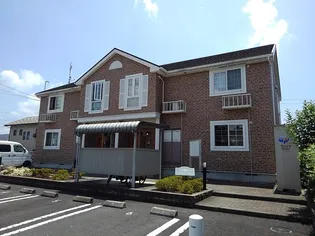 コスモフィオーレの画像