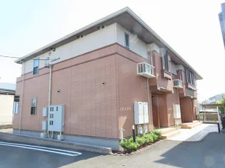 オリーブIの画像