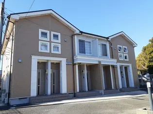 サザンクロスの画像