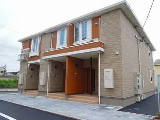 プラシードTの画像