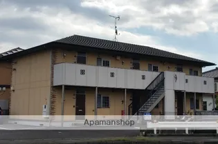 わんダフルの画像