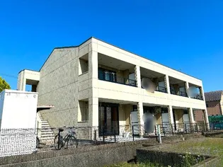 ティアモの画像