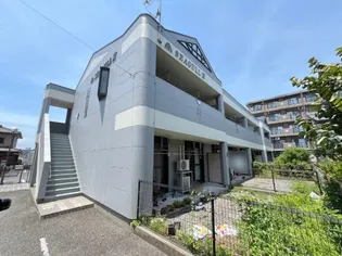 シーガルⅡの画像