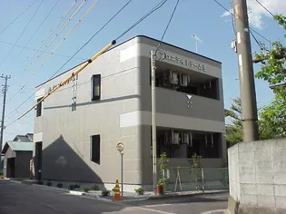 プロニティドリームIIの画像