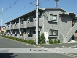 プレザント ワンの画像