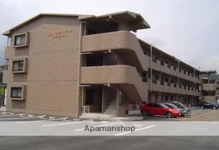 エバーグリーンの画像